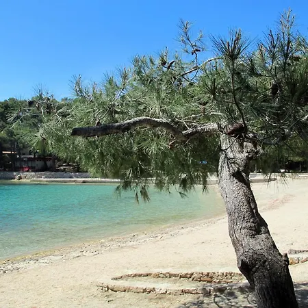 Appartamento Schoene In By Interhome Lussingrande